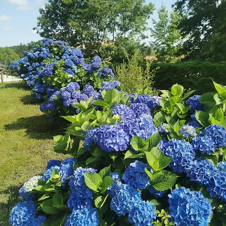 Fleurs Villa Bassussarry Exterior photo