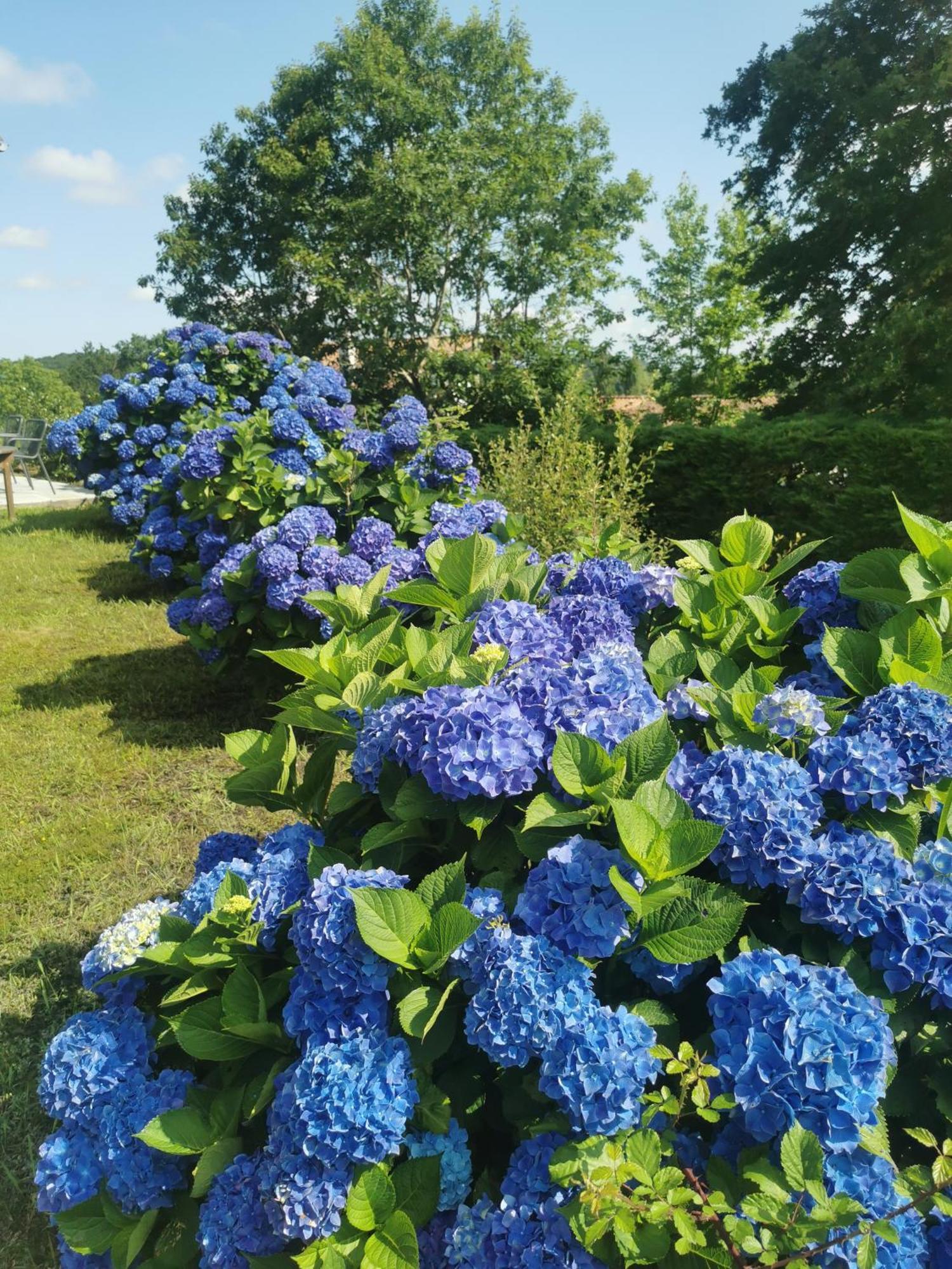 Holiday home Fleurs Bassussarry